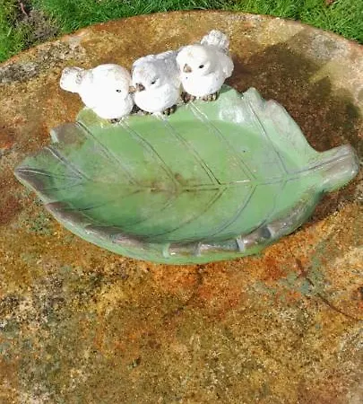 Hébergement de vacances De Blinker