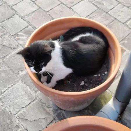 De Blinker Knokke-Heist