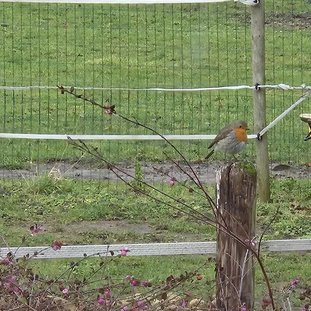 De Blinker Feriehus Knokke-Heist