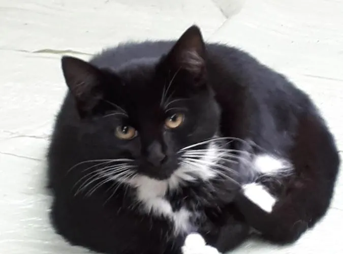 De Blinker Holiday home