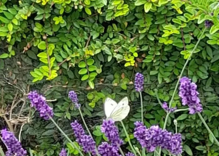 De Blinker Holiday home