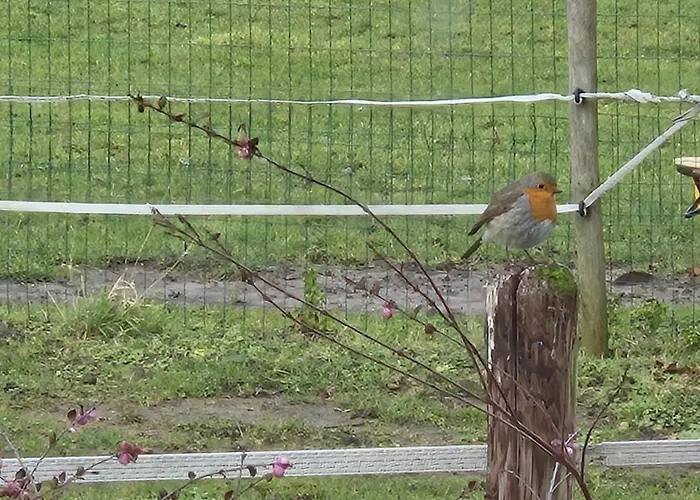 De Blinker Holiday home Knokke-Heist